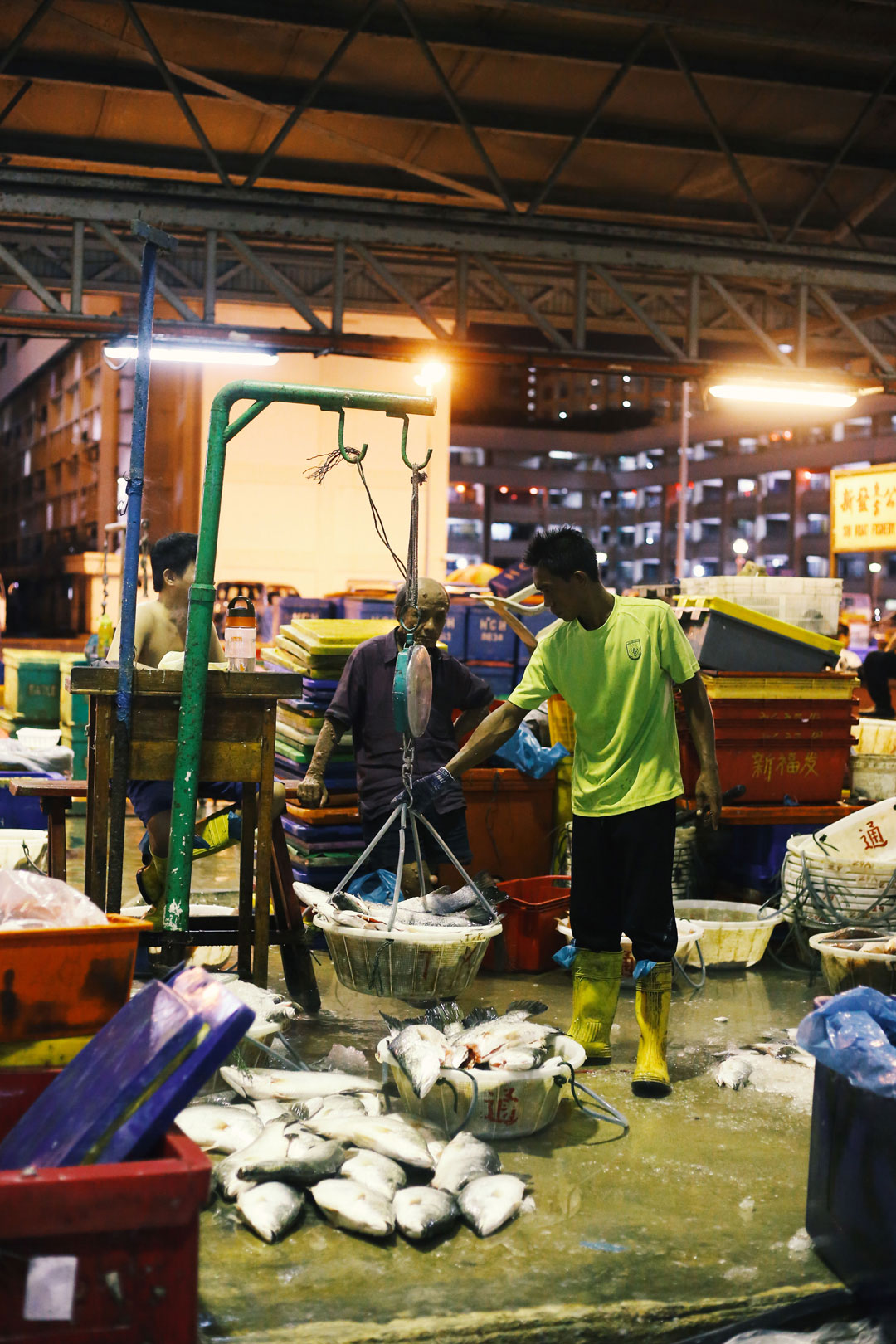 While Singapore Sleeps: 4:15am at Jurong Fishery Port - RICE