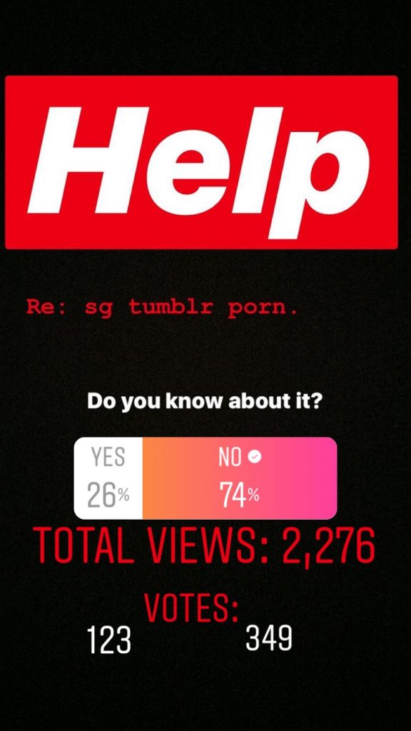 Schoolgirl Porn Captions Tumbler - Singaporeans on Tumblr Are Turning Instagram Girls Into ...