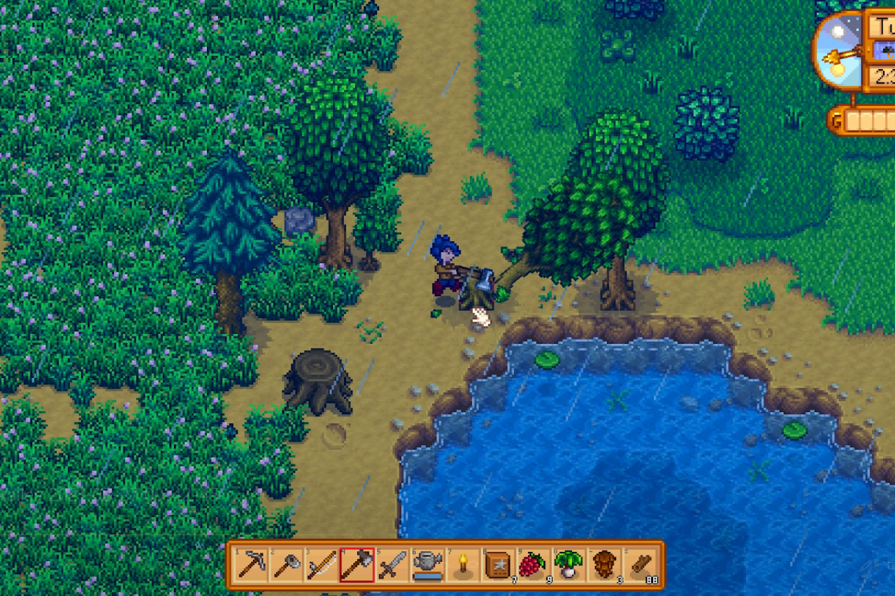 6 Clearing of trees for more space